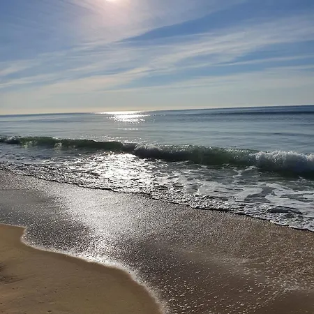 Chalet Village Des Pins D'or * Bias (Landes)